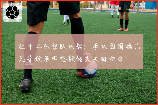 红牛二队领队认错：承认因固执己见导致角田裕毅错失关键积分